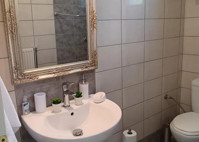 Case de vacanță Oasis